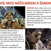 Proč firmy potřebují kromě náčelníků i šamany